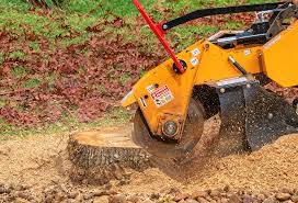 Best Tree Mulching  in Watervliet, NY